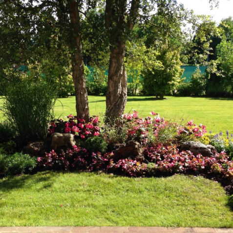 Dalla Pianta e Rossi Vivaio di Fiori e Piante e Giardinaggio