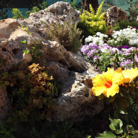 Progettazione e realizzazione giardini dalla pianta e rossi Forlì