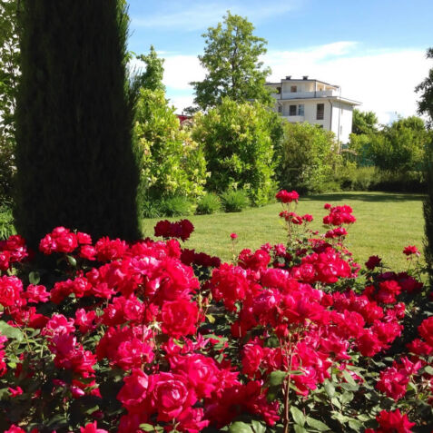 Allestimento Giardini e Parchi Pubblici