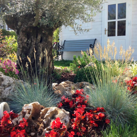 Progettazione e realizzazione giardini dalla pianta e rossi Forlì