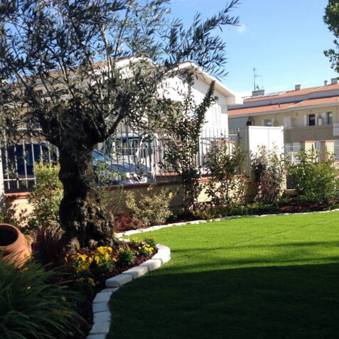 Dalla Pianta e Rossi Vivaio di Fiori e Piante e Giardinaggio