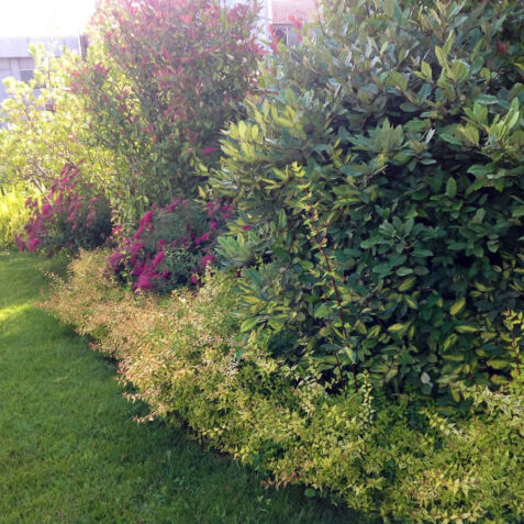 Allestimento Giardini e Parchi Pubblici